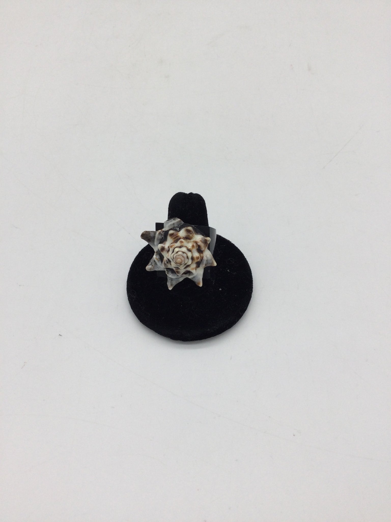 Size 8 Black Rings