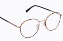 Classified  -  Tortoise  -  STRENGTH  1.00