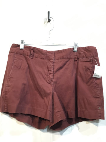 Daisy Fuentes Size L/14 Brown Bottoms