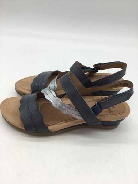 Earth Size 6.5 Silver Shoes
