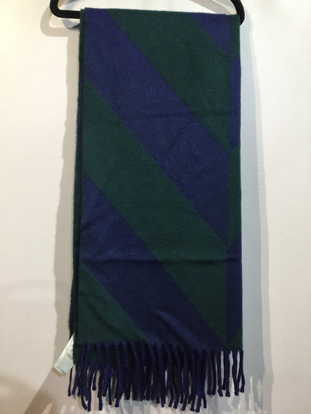 LUXURY Burberry Green Winter Accessories