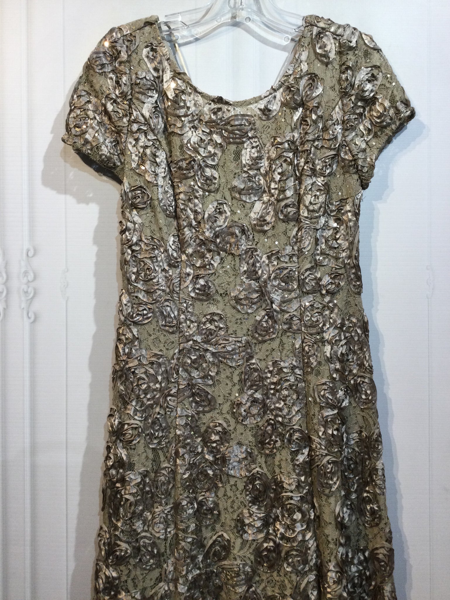 NWT EVENINGS Size M/8 Brown DRESS/1 PIECE