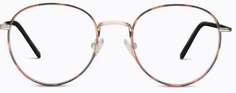 Classified  -  Tortoise  -  STRENGTH  1.00