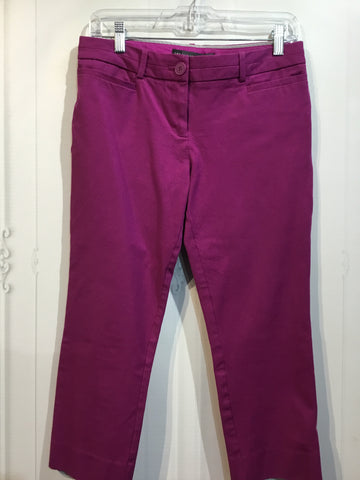 The Limited Size S/4 Purple Bottoms