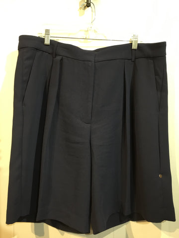 Banana Republic Size XL/18 Blue Bottoms