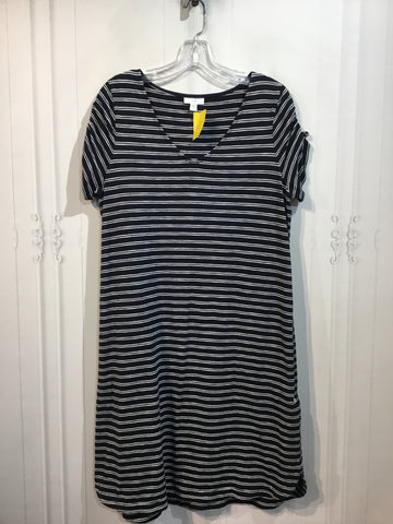 JJILL Size M/8-10 Navy & White Dress