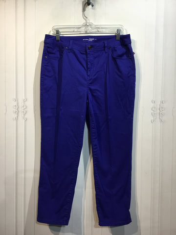 CHICO'S Size M/10 Blue Bottoms