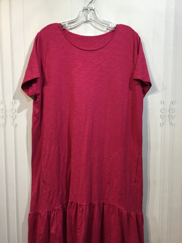 JJILL Size L/12-14 Raspberry Dress