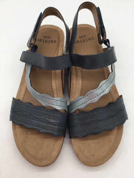 Earth Size 6.5 Silver Shoes