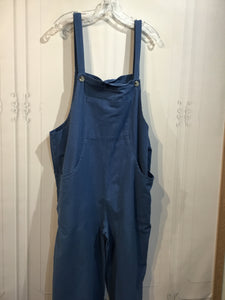 Size 3X Blue DRESS/1 PIECE