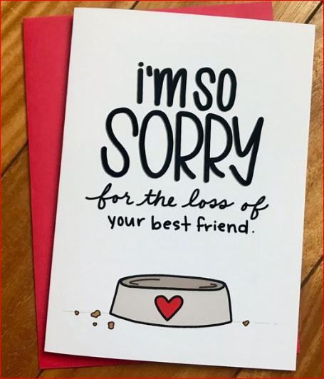 "Sorry For The Loss Of Your Best Friend"   - Pet Loss Sympathy Card