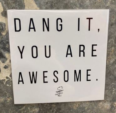 "Dang It You're Awesome"  Magnet